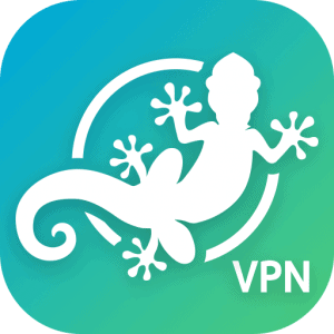 Gecko VPN for PC