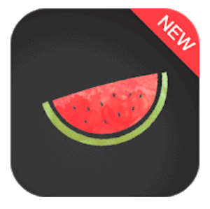 Melon VPN for PC