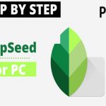 SnapSeed for pc