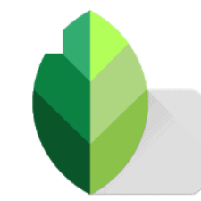 Snapseed for PC