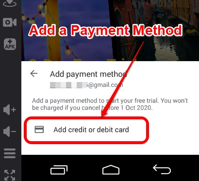 Add credit card details - Prisma